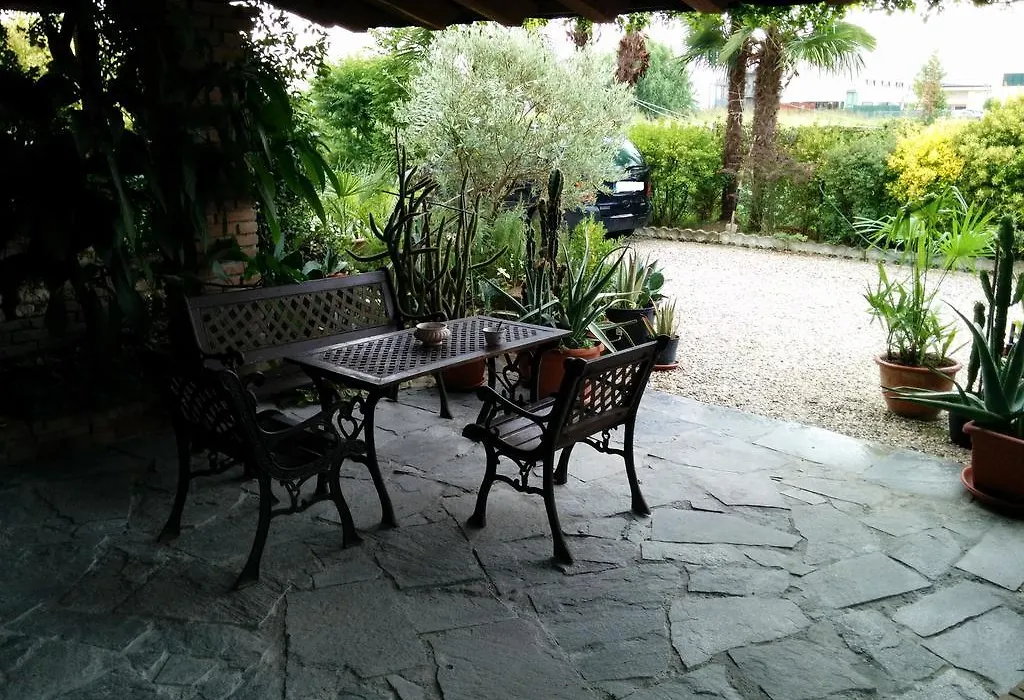 B&B Le Palme D'Oro-1