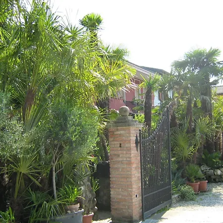 B&B Le Palme D'Oro-3